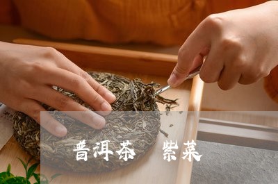 普洱茶 紫菜/2023042988222